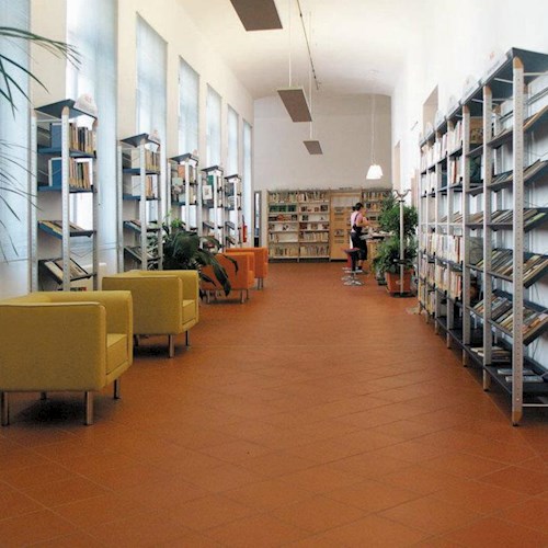 Biblioteca Comunale "Luigi Parazzi"