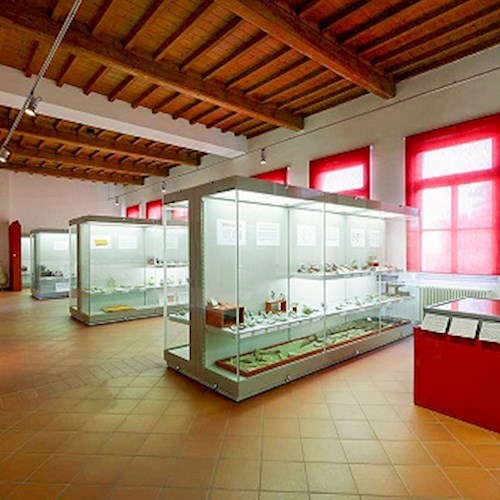 Museo Civico " Antonio Parazzi "